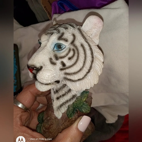 Blue Eyed Siberian Bengal White Tiger Bust Desktop Plaque Figurine - Picture 5 of 6